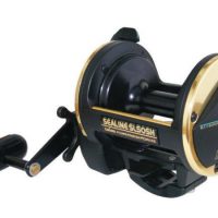 Daiwa Sealine