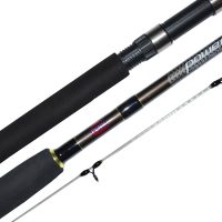 Penn Mariner Species Rods – Hartenbos Sport en Hengel